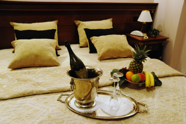 Elsa Hotel Skopje